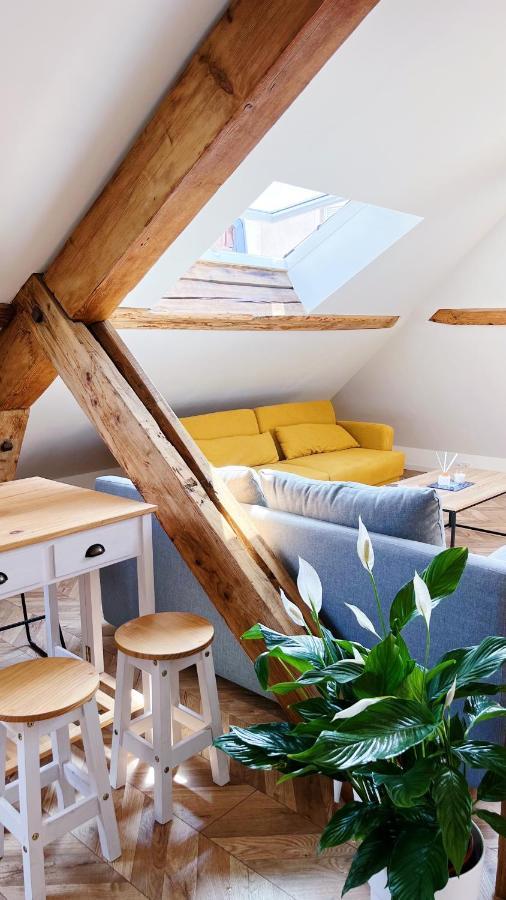 Les Appartements De Romain Et Julien Dijon Exterior photo