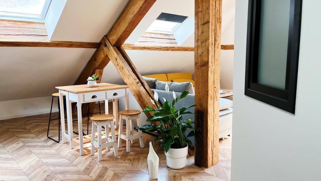 Les Appartements De Romain Et Julien Dijon Exterior photo