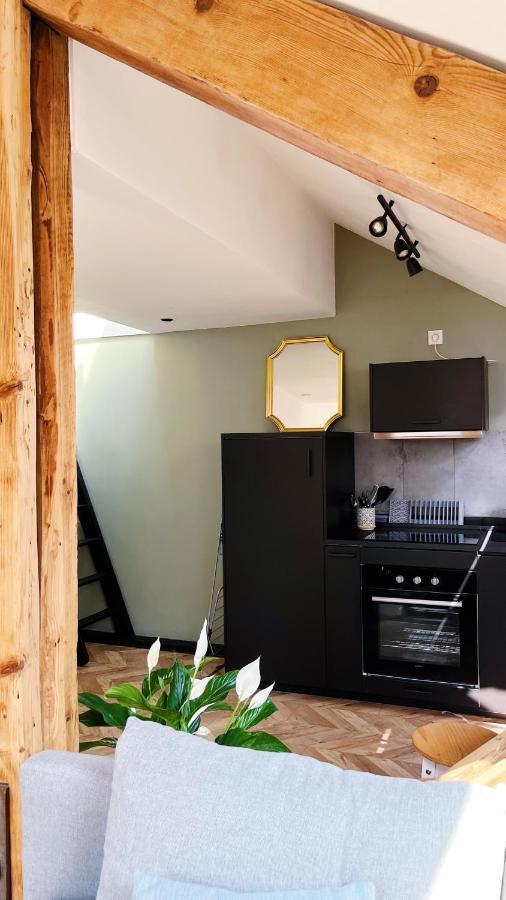 Les Appartements De Romain Et Julien Dijon Exterior photo