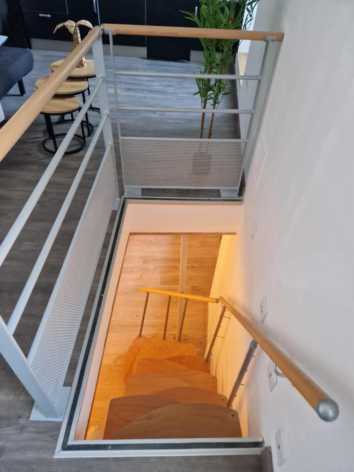Les Appartements De Romain Et Julien Dijon Exterior photo