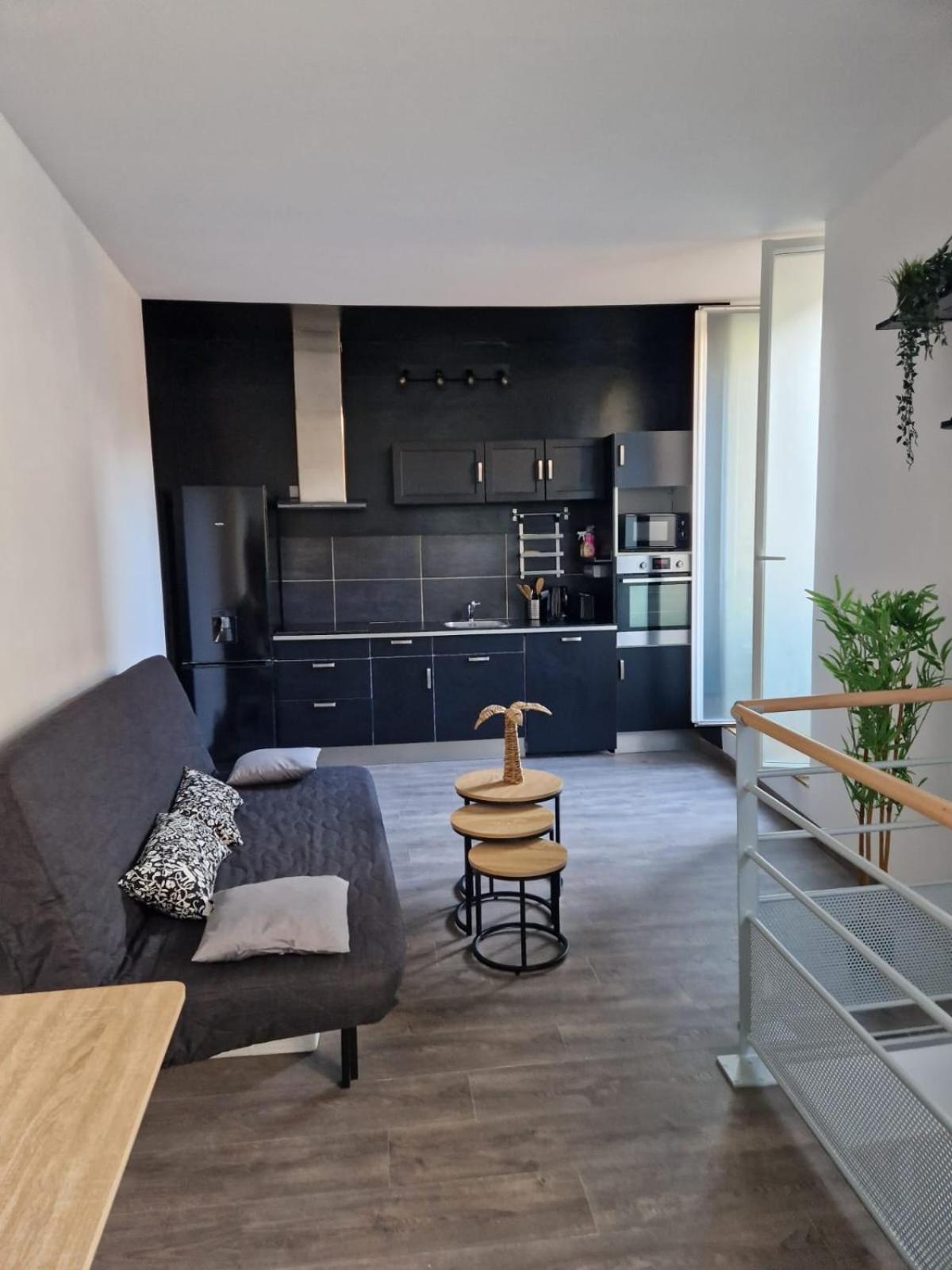 Les Appartements De Romain Et Julien Dijon Exterior photo