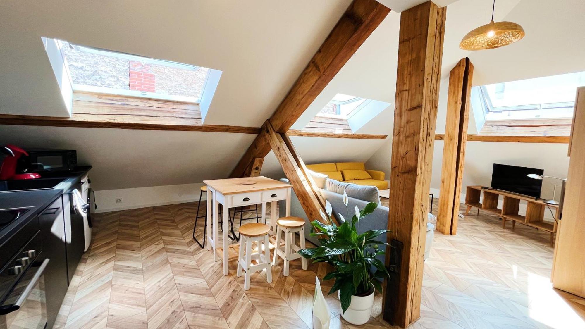 Les Appartements De Romain Et Julien Dijon Exterior photo