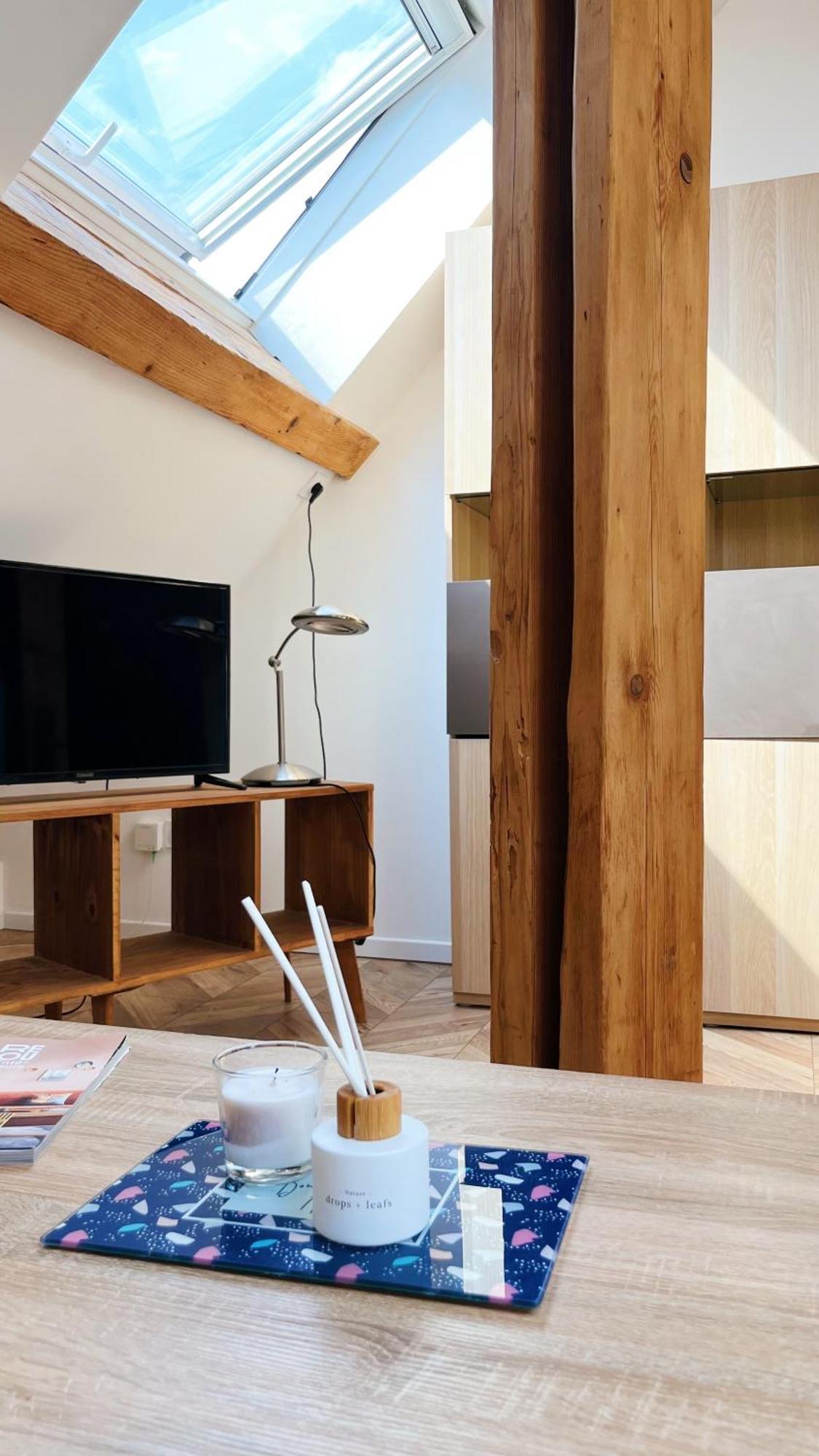 Les Appartements De Romain Et Julien Dijon Exterior photo