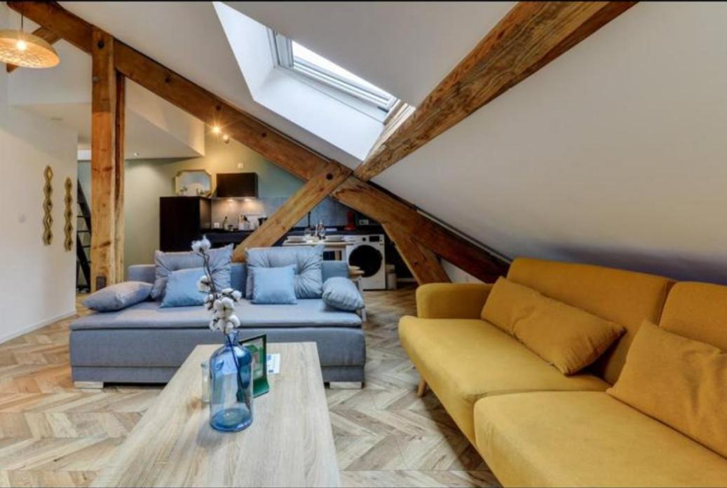 Les Appartements De Romain Et Julien Dijon Exterior photo